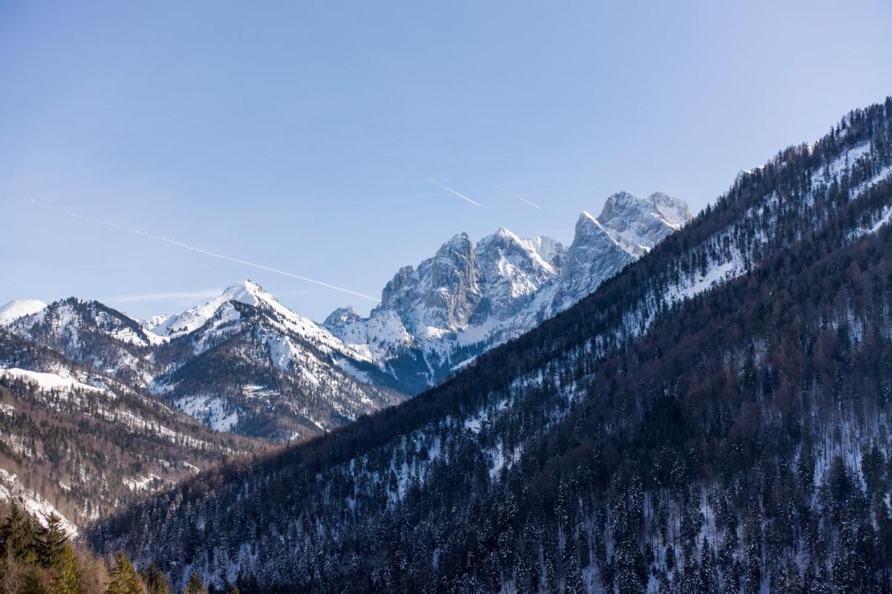 Berg'K'Hof Kaisertal - Alpine Hideaway Ebbs Eksteriør billede